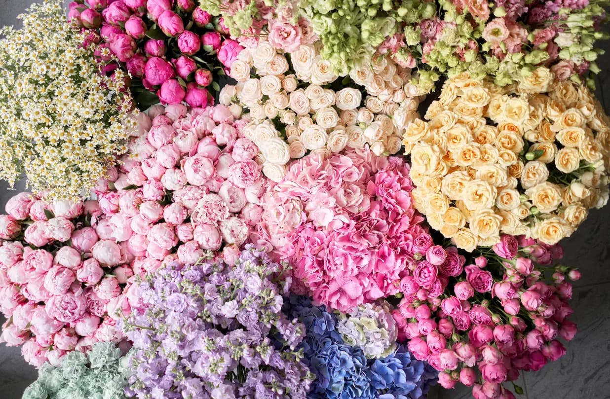 Bouquet & Composizioni